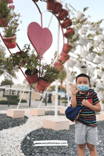 A boy with a sewing project pet sling.