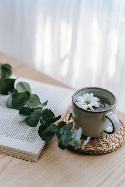 a cup of tea and a book